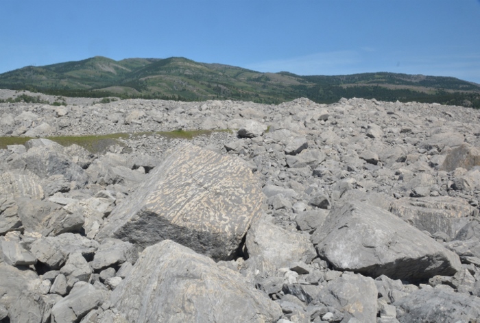 Frank Slide